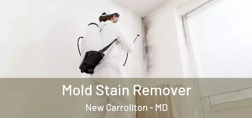 Mold Stain Remover New Carrollton - MD