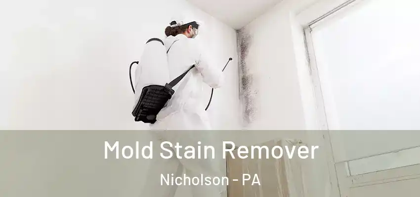  Mold Stain Remover Nicholson - PA