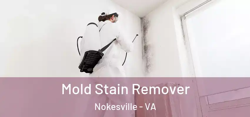  Mold Stain Remover Nokesville - VA