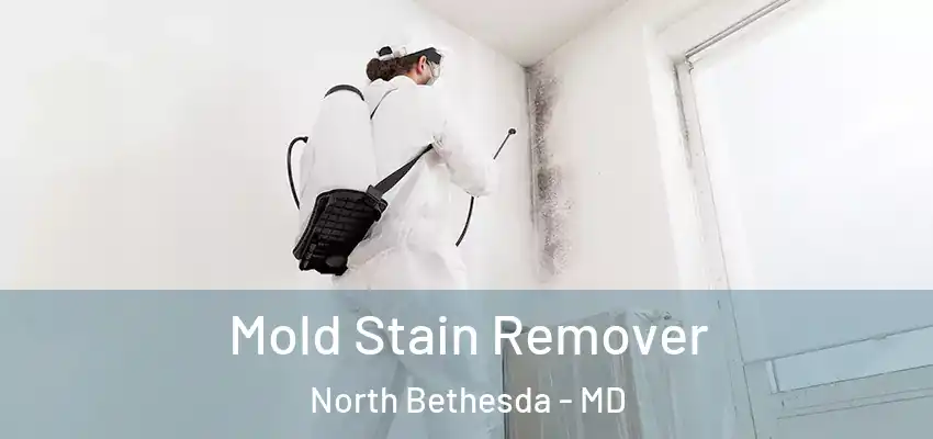  Mold Stain Remover North Bethesda - MD