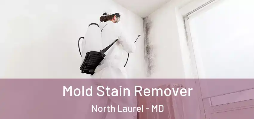  Mold Stain Remover North Laurel - MD