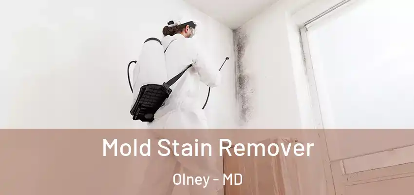 Mold Stain Remover Olney - MD