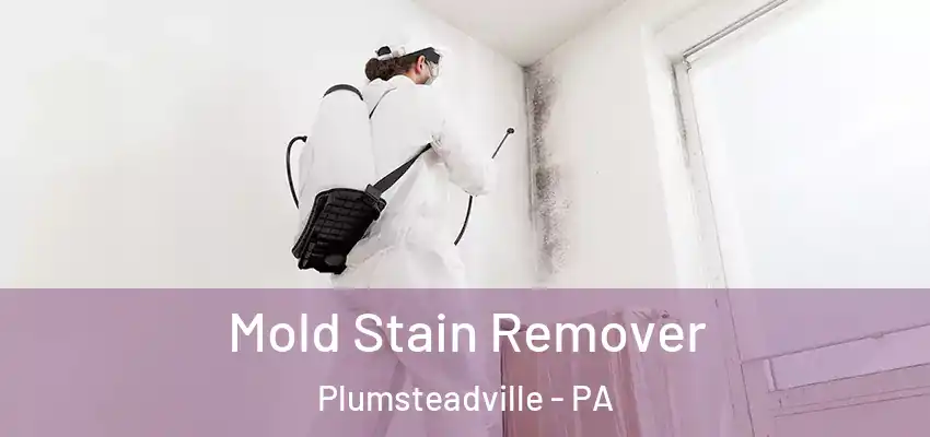 Mold Stain Remover Plumsteadville - PA