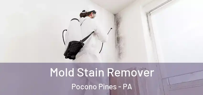 Mold Stain Remover Pocono Pines - PA