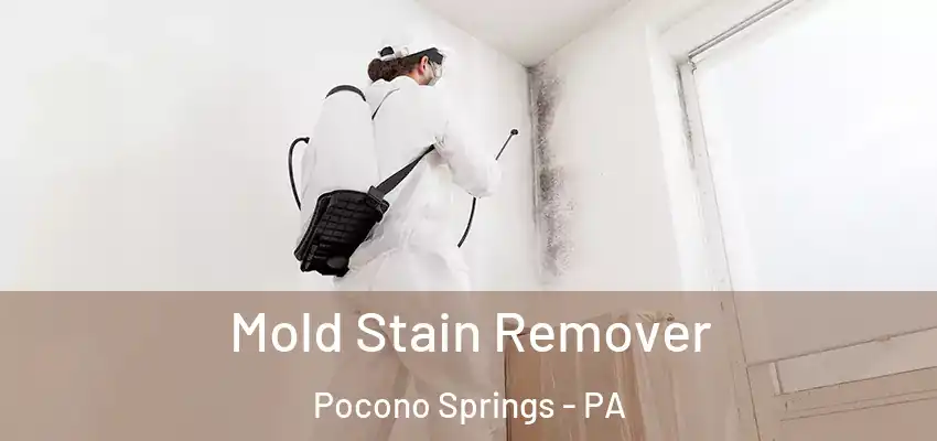 Mold Stain Remover Pocono Springs - PA