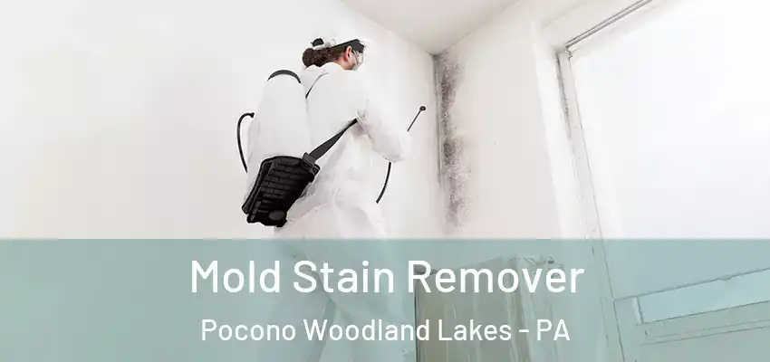 Mold Stain Remover Pocono Woodland Lakes - PA