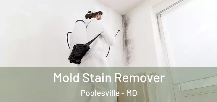 Mold Stain Remover Poolesville - MD