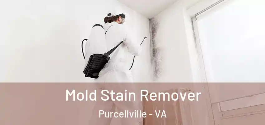  Mold Stain Remover Purcellville - VA