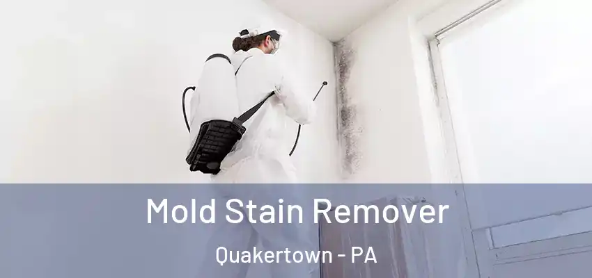  Mold Stain Remover Quakertown - PA