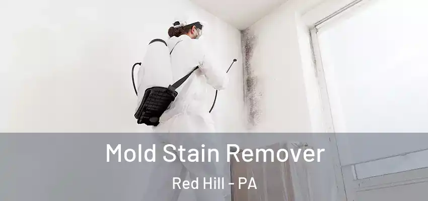 Mold Stain Remover Red Hill - PA