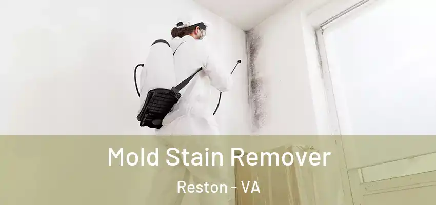 Mold Stain Remover Reston - VA