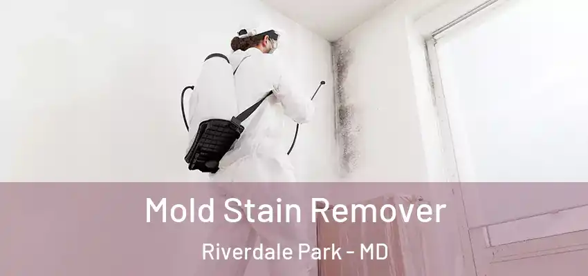 Mold Stain Remover Riverdale Park - MD
