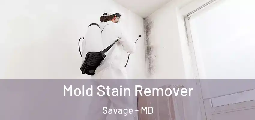 Mold Stain Remover Savage - MD