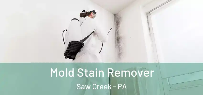 Mold Stain Remover Saw Creek - PA