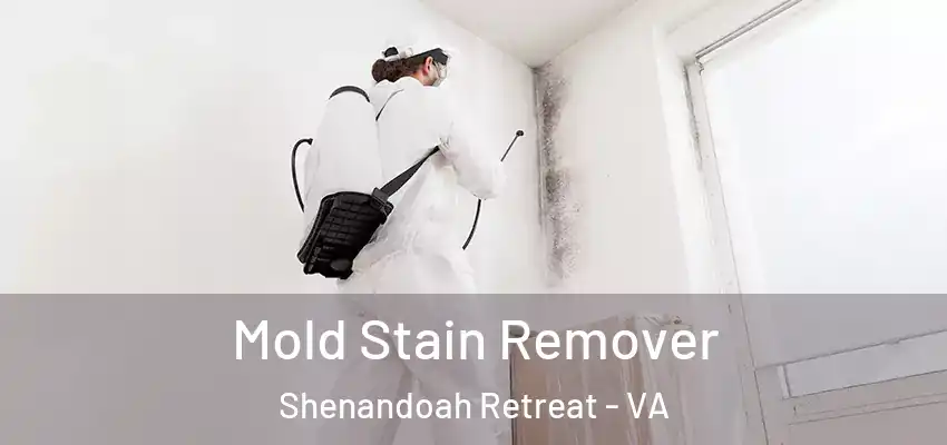 Mold Stain Remover Shenandoah Retreat - VA