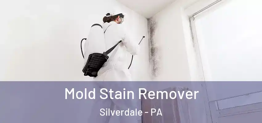 Mold Stain Remover Silverdale - PA