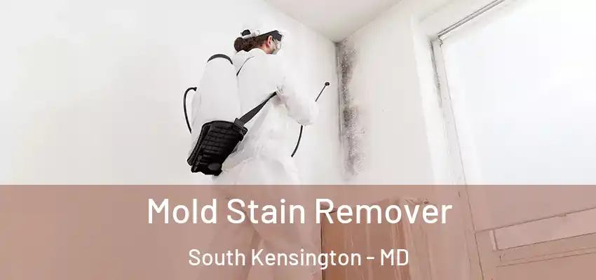 Mold Stain Remover South Kensington - MD