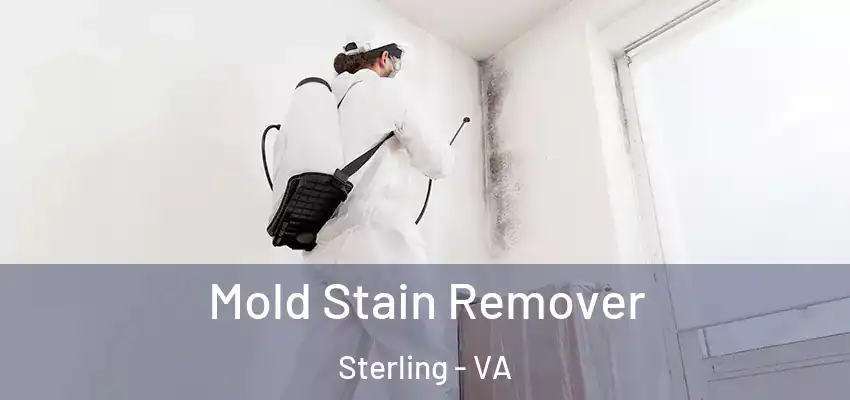 Mold Stain Remover Sterling - VA