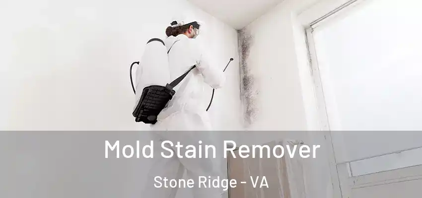  Mold Stain Remover Stone Ridge - VA
