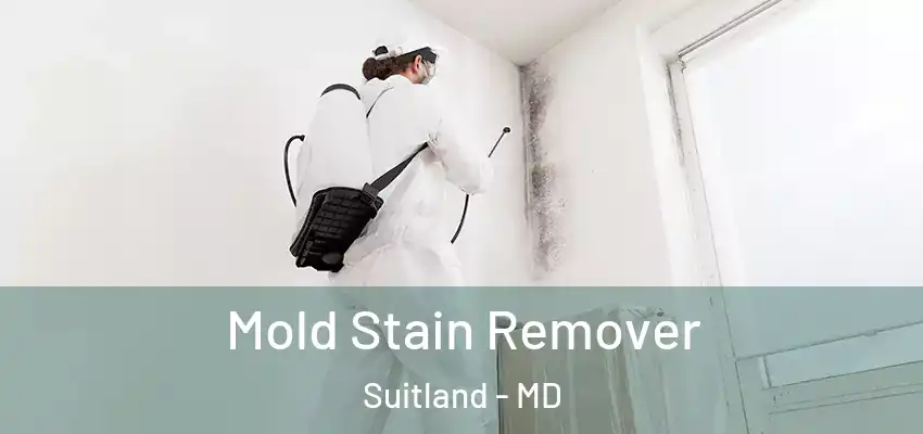 Mold Stain Remover Suitland - MD
