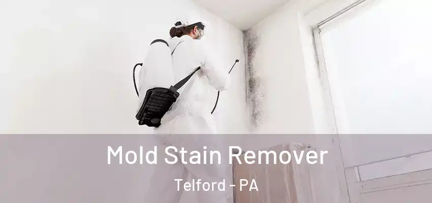 Mold Stain Remover Telford - PA