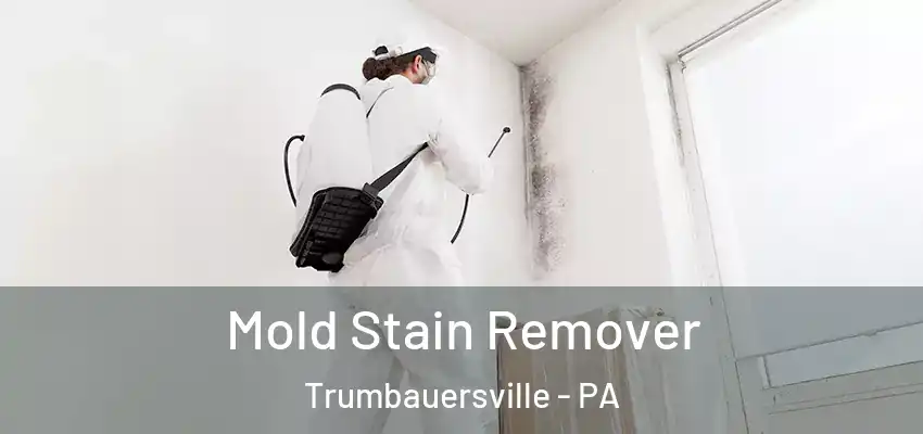 Mold Stain Remover Trumbauersville - PA