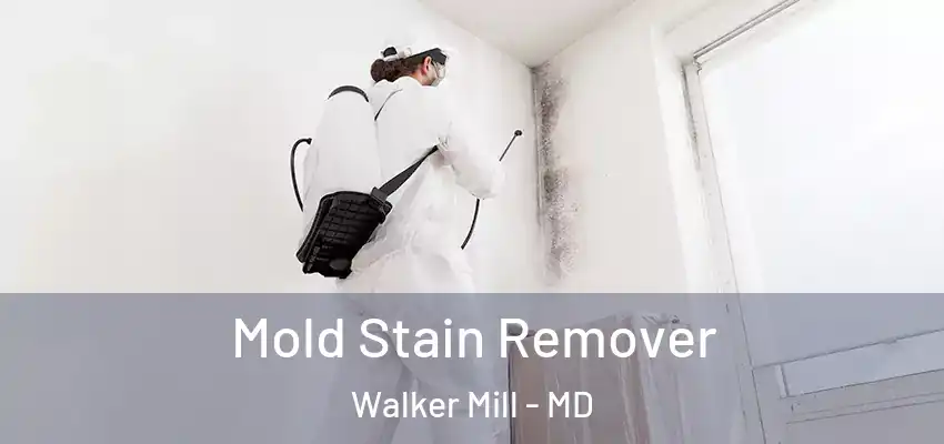  Mold Stain Remover Walker Mill - MD