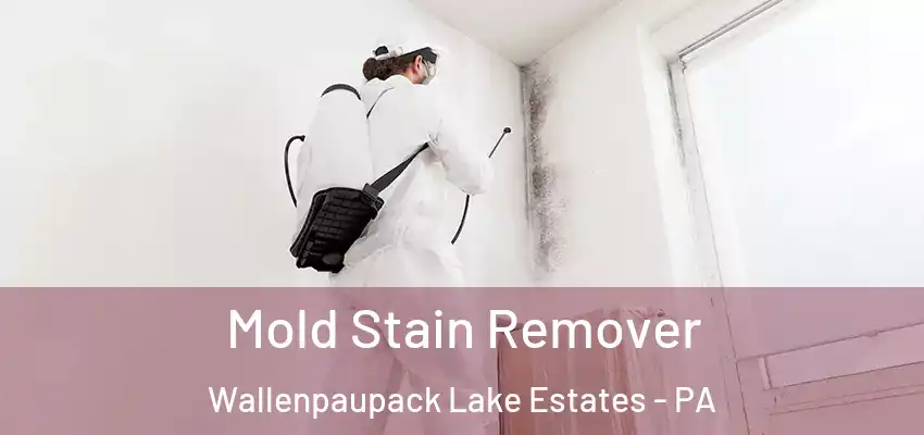 Mold Stain Remover Wallenpaupack Lake Estates - PA