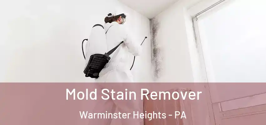 Mold Stain Remover Warminster Heights - PA
