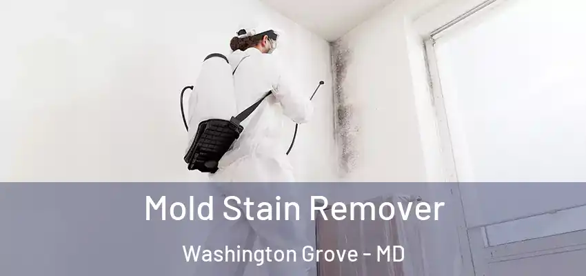 Mold Stain Remover Washington Grove - MD