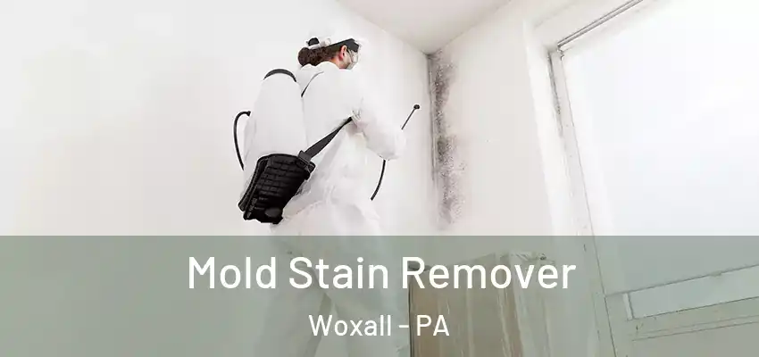 Mold Stain Remover Woxall - PA