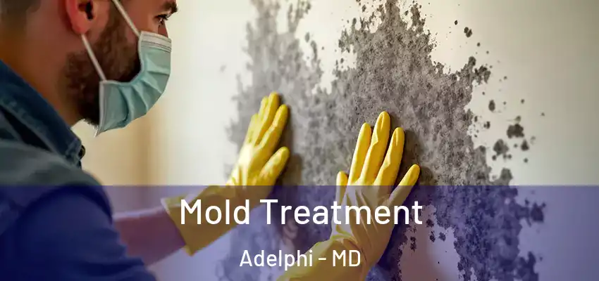  Mold Treatment Adelphi - MD