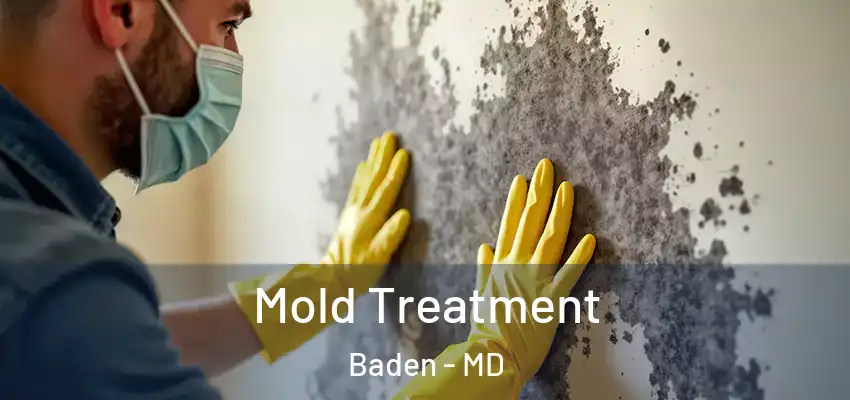Mold Treatment Baden - MD
