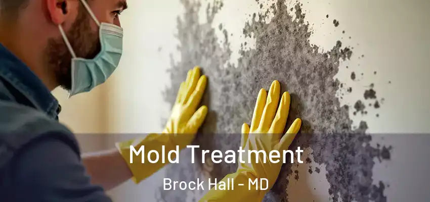  Mold Treatment Brock Hall - MD