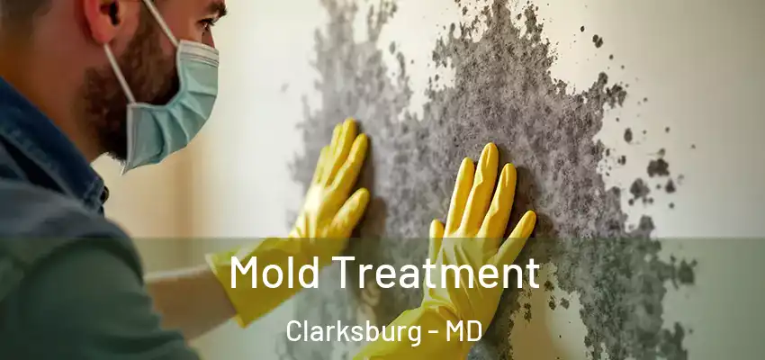  Mold Treatment Clarksburg - MD