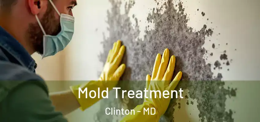  Mold Treatment Clinton - MD