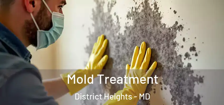 Mold Treatment District Heights - MD