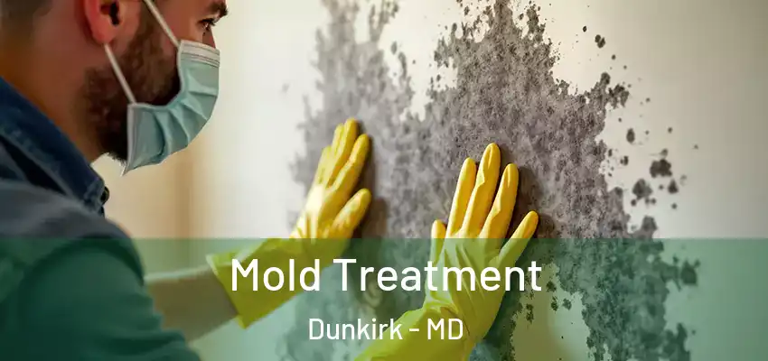 Mold Treatment Dunkirk - MD