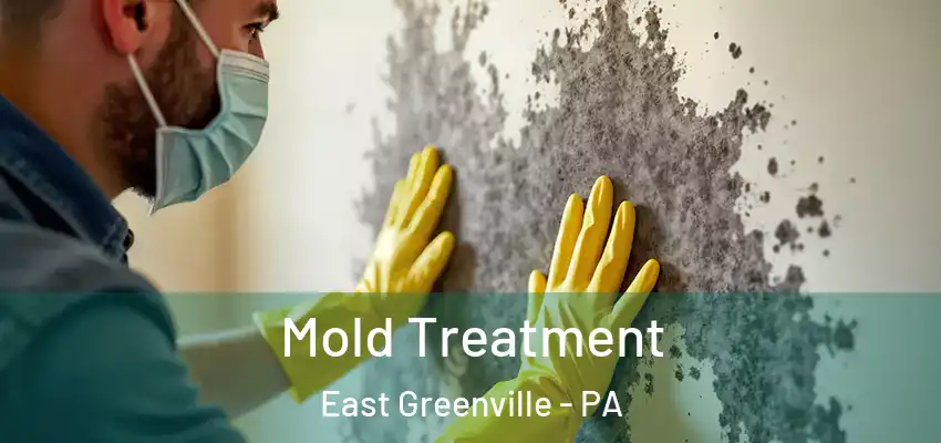 Mold Treatment East Greenville - PA