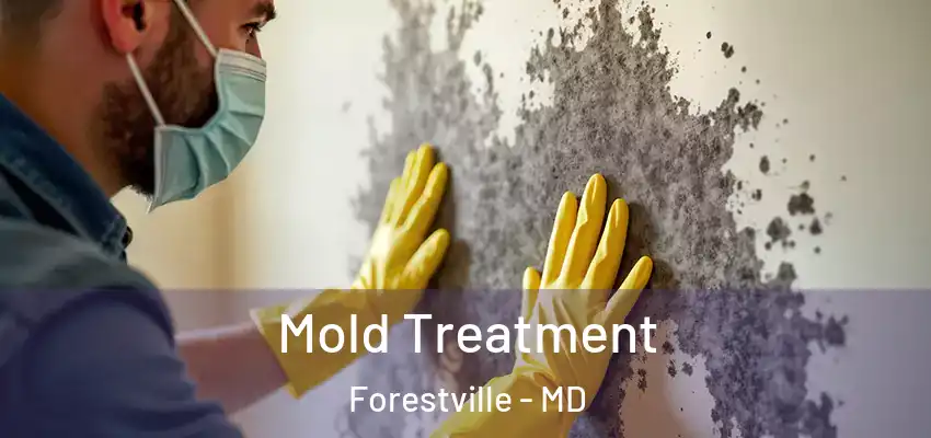 Mold Treatment Forestville - MD