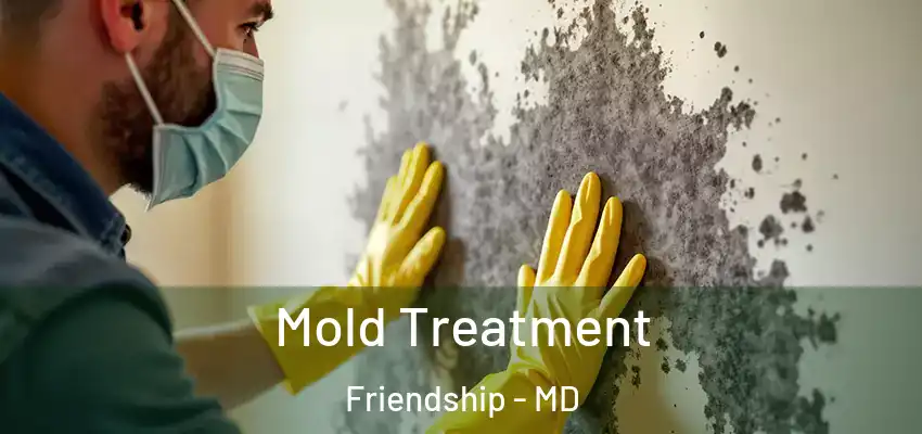 Mold Treatment Friendship - MD