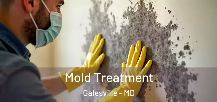 Mold Treatment Galesville - MD
