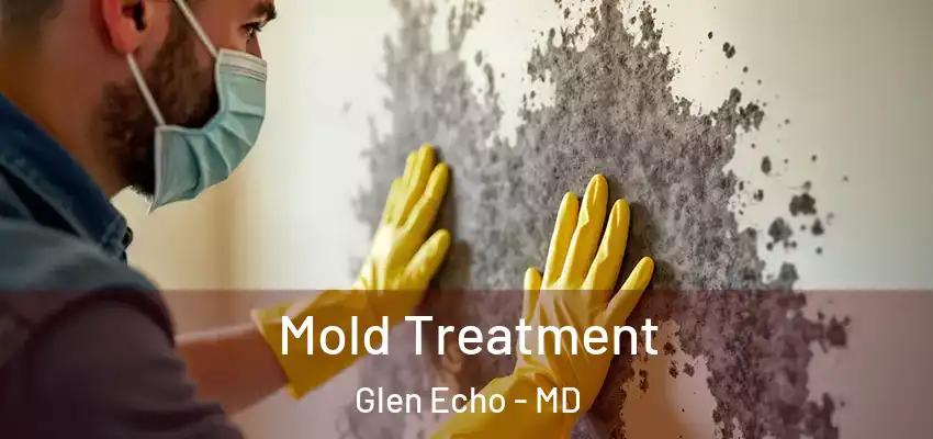  Mold Treatment Glen Echo - MD