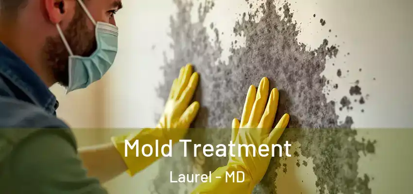 Mold Treatment Laurel - MD