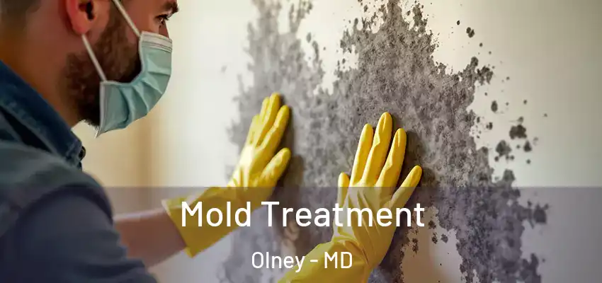 Mold Treatment Olney - MD
