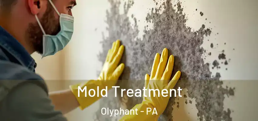  Mold Treatment Olyphant - PA