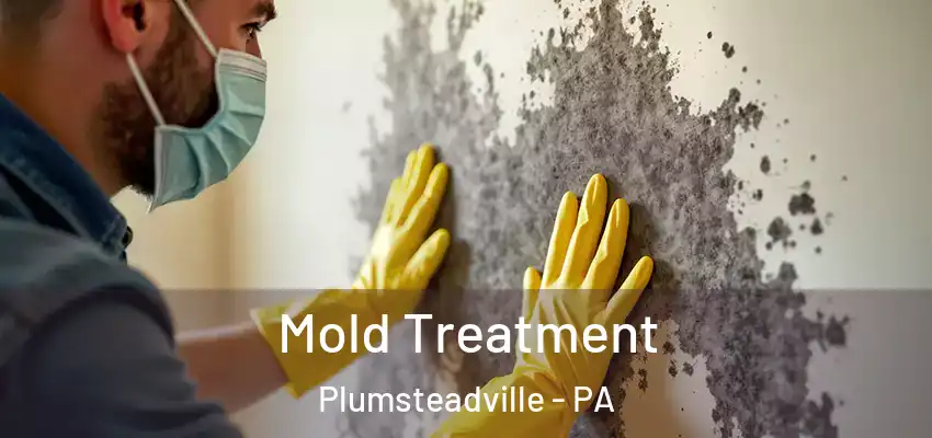 Mold Treatment Plumsteadville - PA