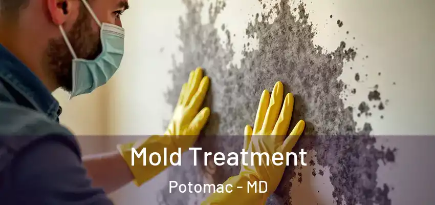 Mold Treatment Potomac - MD