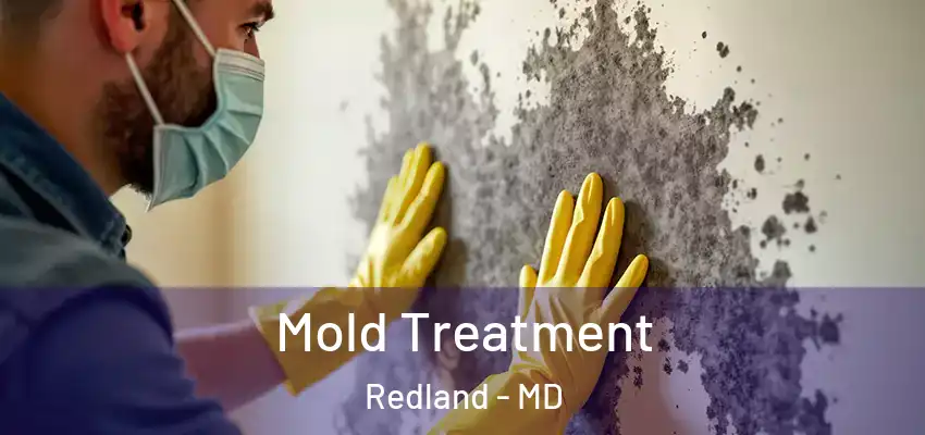 Mold Treatment Redland - MD
