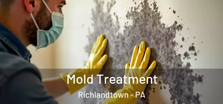 Mold Treatment Richlandtown - PA